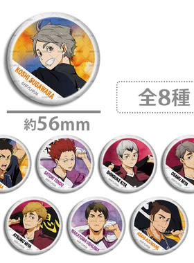 排球少年 suga队旗 吧唧徽章  菅原孝支 天童觉 宫侑 宫治 北信介