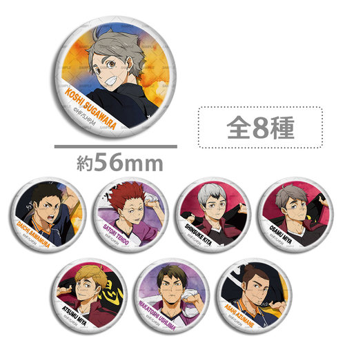 排球少年 suga队旗 吧唧徽章  菅原孝支 天童觉 宫侑 宫治 北信介