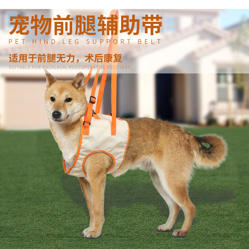 跨境新品高龄犬前腿护理用宠物牵引前肢残疾受伤老龄狗狗辅助带