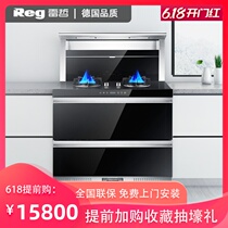 Reg / leizhe sl-lzk18 integrated stove in Germany environmental protection stove 750mm