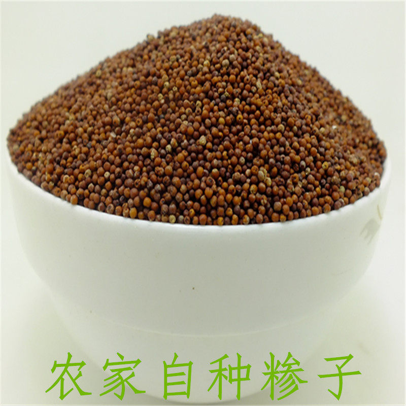 湖南新化土特产农家自种穇子产子粒糁子粑粑鸭脚龙鸡爪拳头红粟米