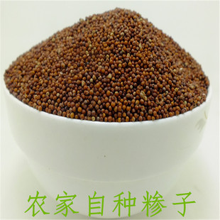 湖南新化特产农家自种穇子产子粒糁子粑粑粗粮鸭脚龙鸡爪红粟包邮