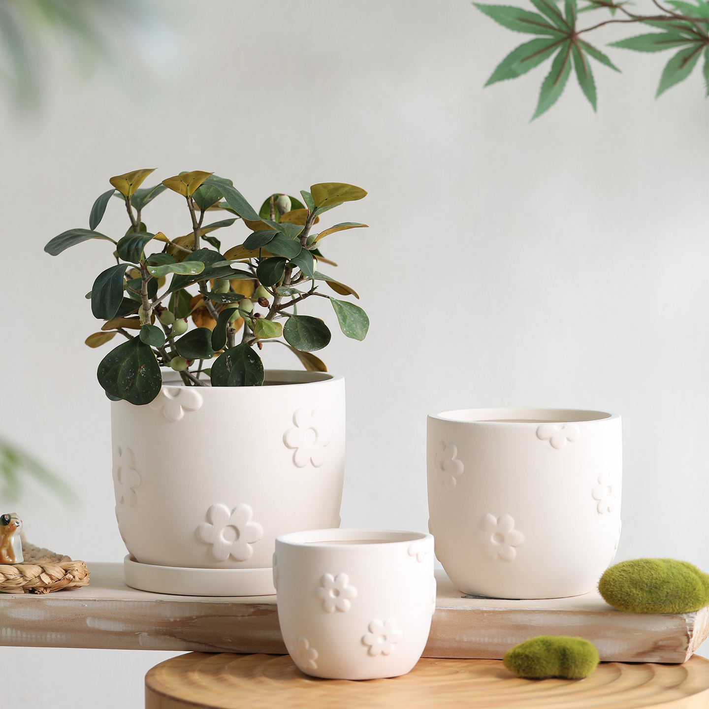 奶油风树叶花朵素烧白陶花盆带托