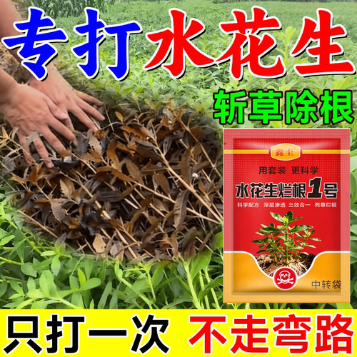水花生除草烂根剂专用灭草剂水花生克星革命草专杀专治水花生烂根