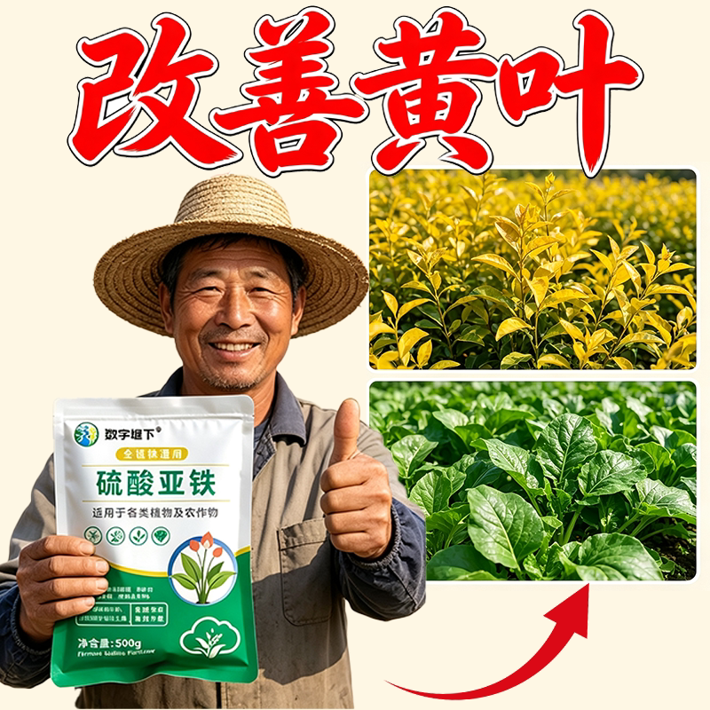 硫酸亚铁颗粒黄叶急救补铁有机肥