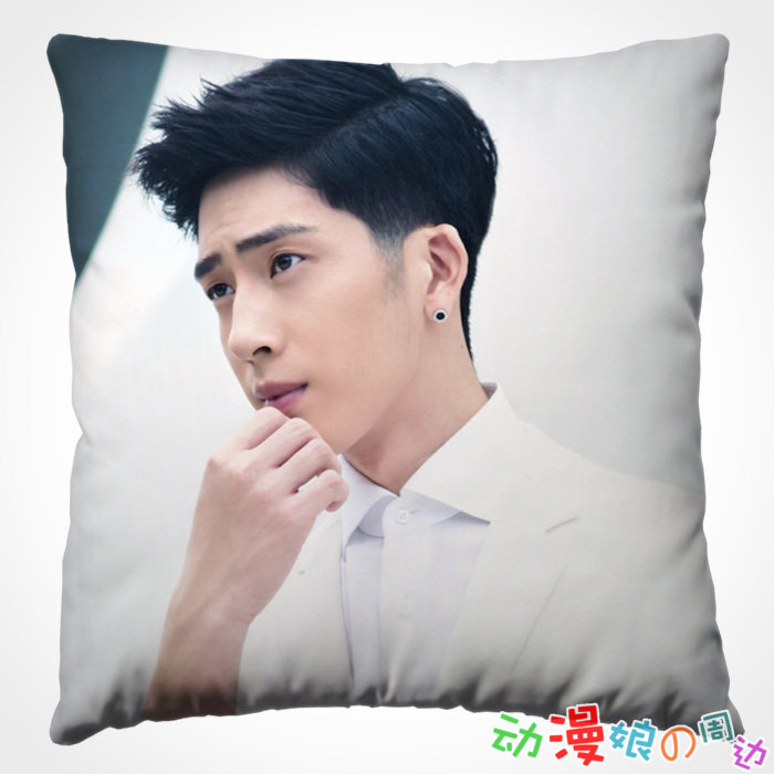 创意图片定制办公靠垫抱枕头/井柏然花儿与少年周边/情侣礼物订做