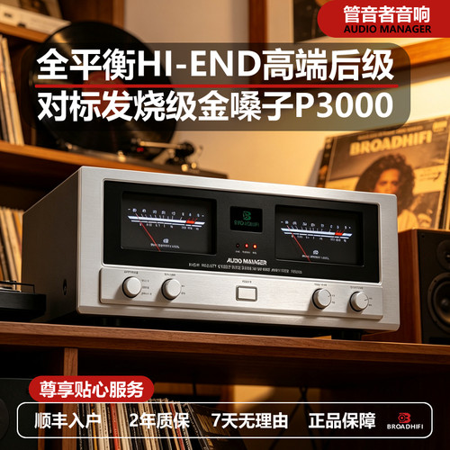 P3000大功率发烧平衡HIFI纯后级