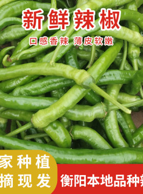 新鲜湖南辣椒衡阳本地小青椒农家薄皮二荆条炒菜青尖椒线椒现货