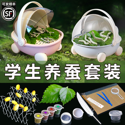 学生养蚕套装蚕宝宝活体新鲜桑叶蚕卵幼虫专用饲养盒箱太空养育舱