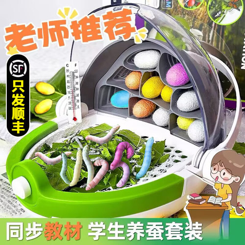 【顺丰当天发】蚕宝宝学生养蚕套装幼虫蚕卵专用饲养盒箱新鲜桑叶