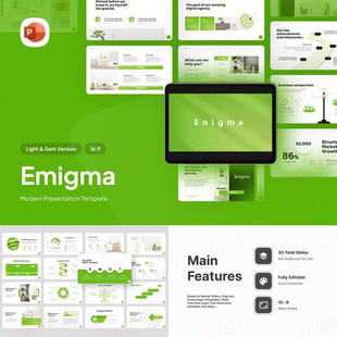 ppt模板绿色风商业品牌产品投资营销工作管理业务项目流程总结448