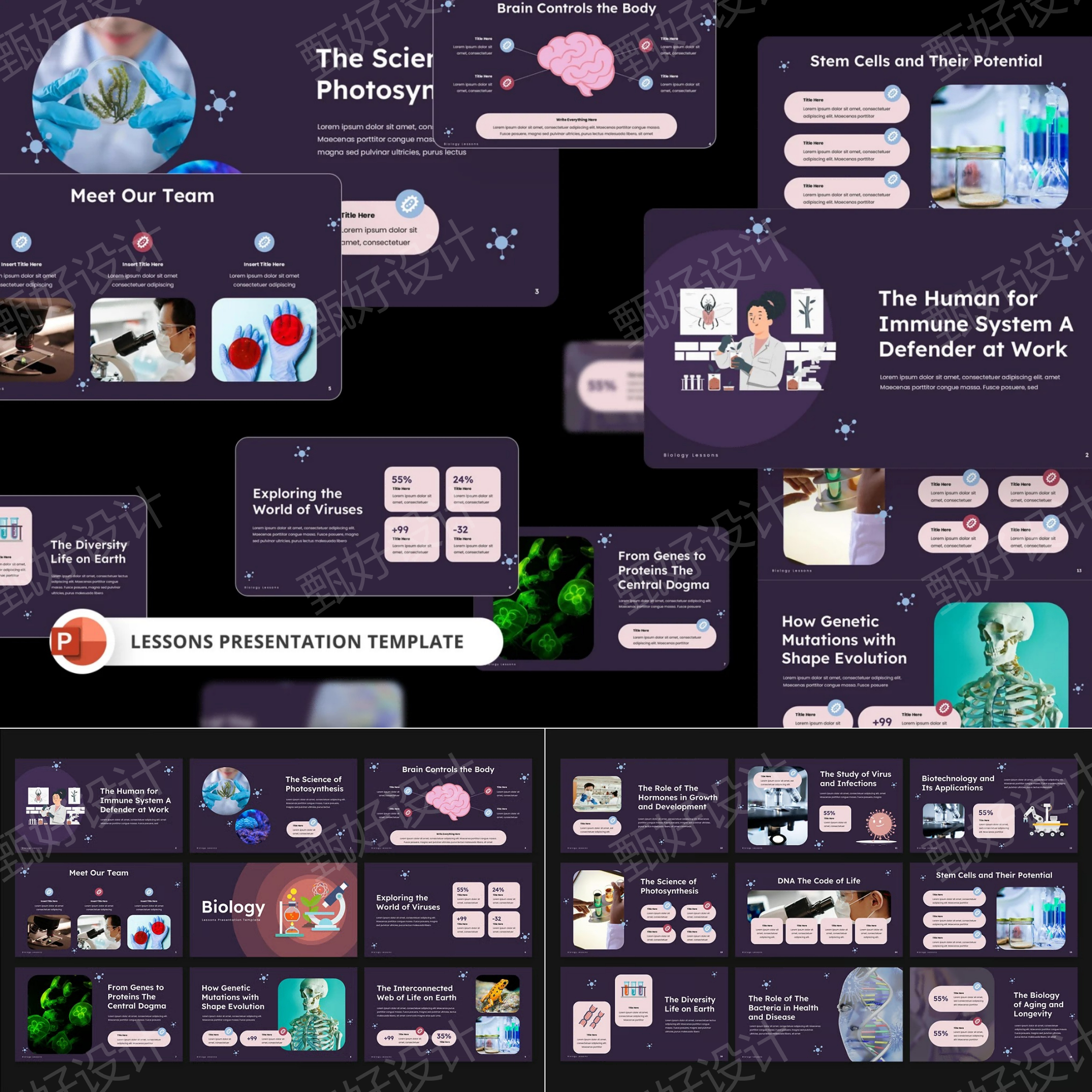 ppt模板生物学课程教学教育培训科学实验项目工作总结推广1186