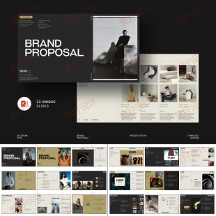 ppt模板服装艺术设计品牌提案商业营销投资公司业务作品推广37