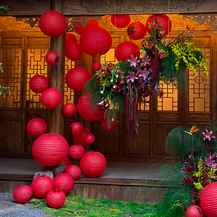 新年元旦装饰场景布置民宿别墅庭院挂饰小院氛围感中国风纸灯笼串