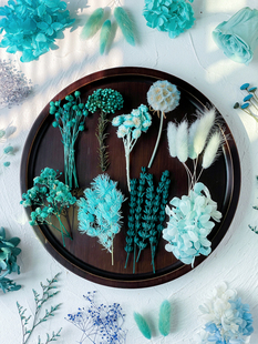 蓝色永生花戒指材料包diy干花束植物标本伴手礼贺卡片手办账装饰