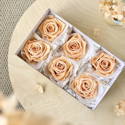 进口4.5-5.5cm永生花玫瑰