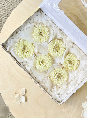 [特价]花纪永生花五月菊Florever哥伦比亚日本进口diy材料包