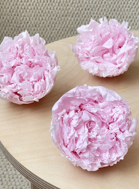 【花纪】永生花diy包花束推荐尺寸A级出口3朵装国产大号芍药9cm