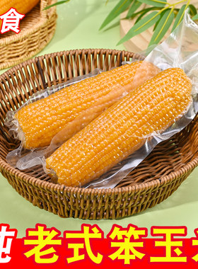 山东老式笨玉米真空即食老笨黄玉米新鲜苞米棒不甜糯黏农家免蒸煮