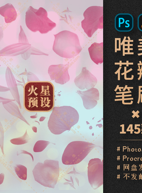 高清飞舞花瓣PS/Procreate笔刷笔触真实樱花玫瑰花ABR/Brushset