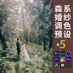 FCPX飞思LUT像素蛋糕 LR预设森系婚纱照调色PS户外人像滤镜文艺PR