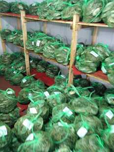 兴化大闸蟹中秋礼盒套装2母5只，3公5只