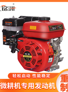 170F汽油机四冲程微耕机打药泵抽水泵190F/192F膨化机单缸发动机