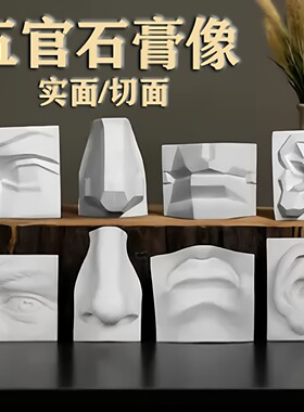 五官整套石膏像绘画教学鼻形素描