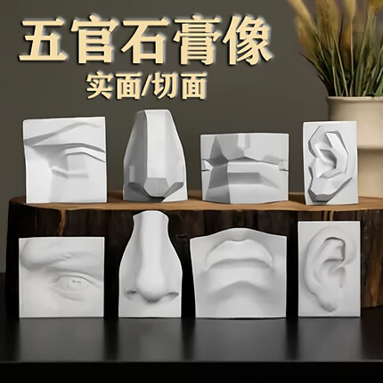 五官结构教学鼻子耳朵石膏模型美术雕塑实面切面素描教学摆件大号