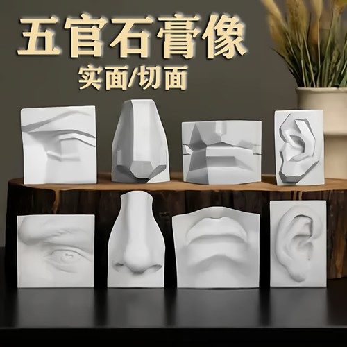 五官整套石膏像绘画教学鼻形素描