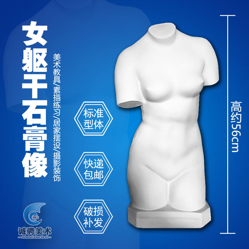 石膏头像教具女躯干静物摆件石膏半身像写生静物快递包邮包破损