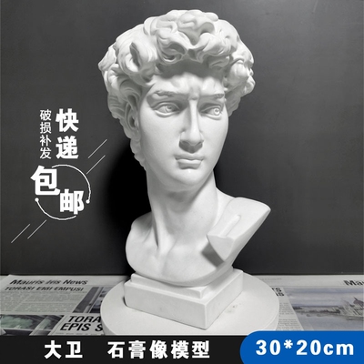 30cm大卫人物素描摆件写生石膏像