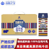 西藏高原之宝牦牛纯牛奶儿童高钙高蛋白早餐奶学生牛奶200ml 12盒