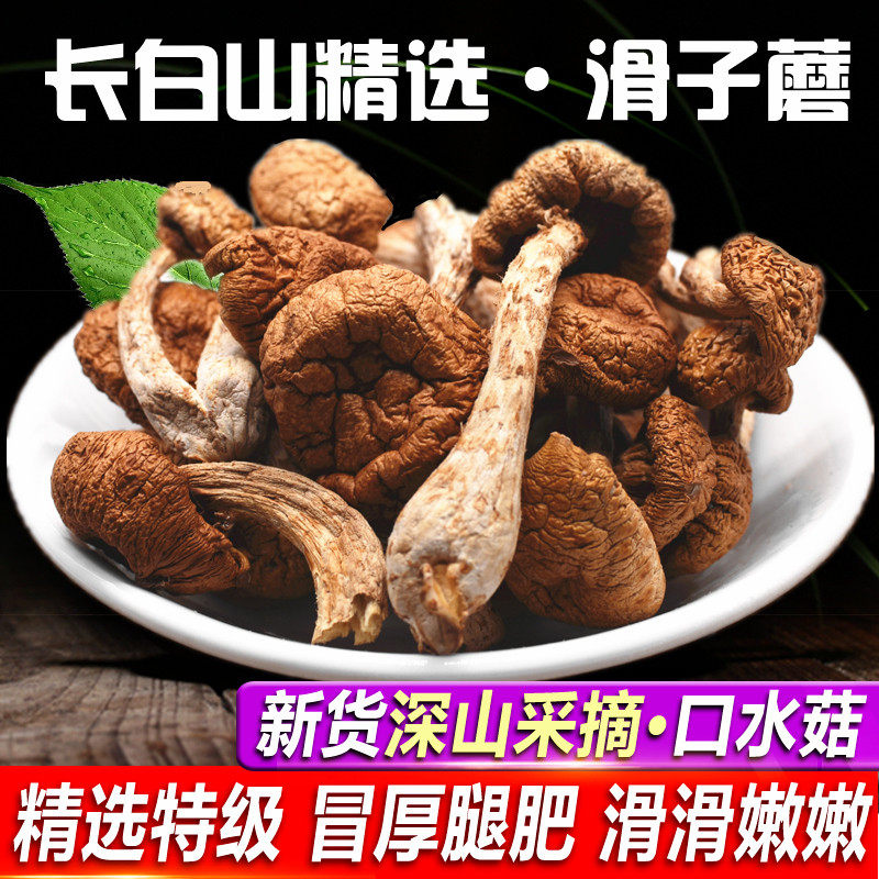 东北特产 滑子蘑滑子菇 干货小鸡炖蘑菇小黄蘑香菇类250g包邮