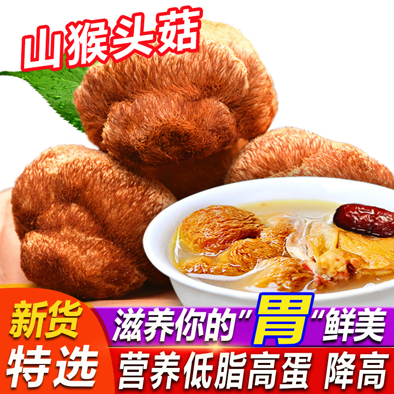 0猴头菇正宗非野生新鲜特级散装