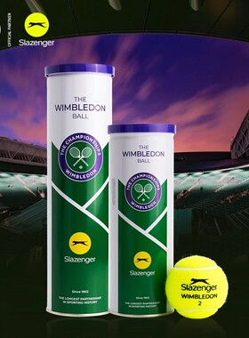 Slazenger史莱辛格网球温网比赛用球训练球高弹耐打3粒4粒铁罐装