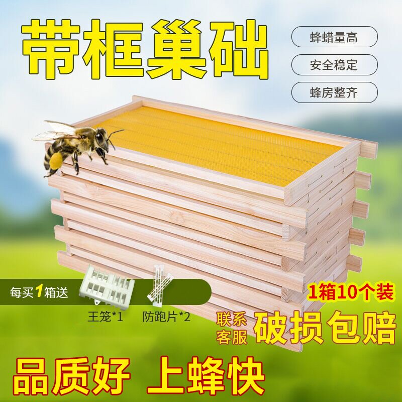 带框巢础成品巢框蜂巢中蜂杉木巢基蜜蜂巢框蜂箱专用养蜂工具包邮 传统滋补营养品 蜂蜜糖/蜂制品 原图主图