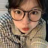 复古圆框豹纹眼镜框网红大框素颜神器方脸大脸显瘦平镜女款 无度数