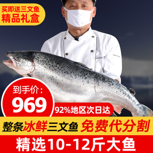 挪威进口12斤日料寿司新鲜生鱼片冰鲜三文鱼刺身 三文鱼整条