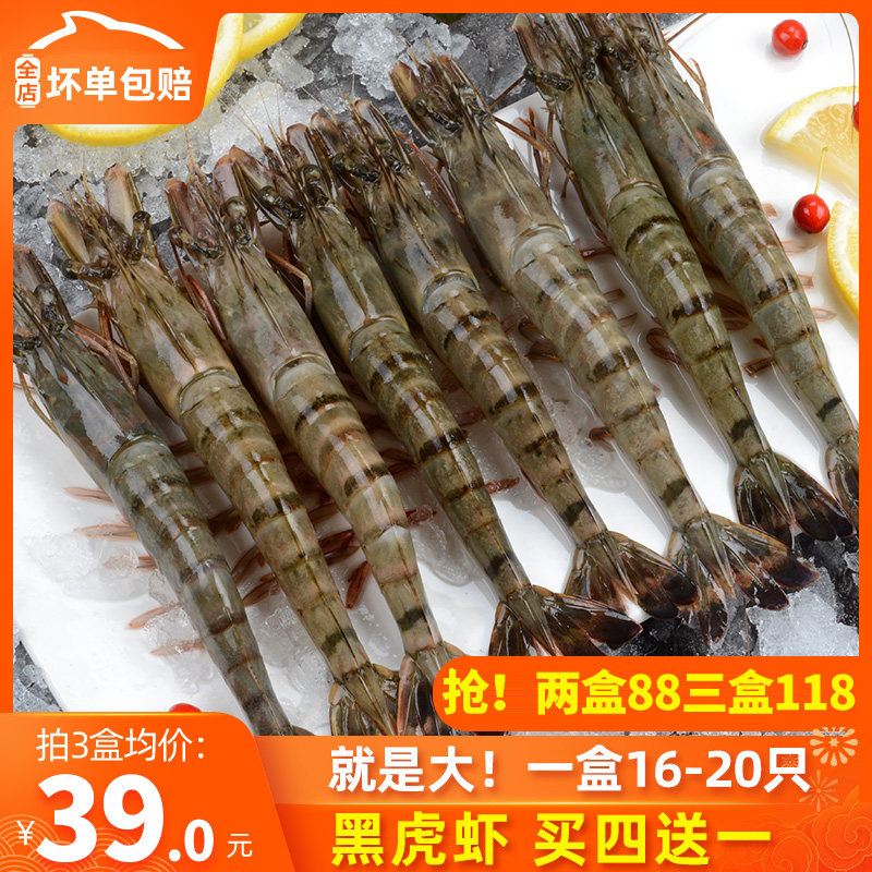 虎虾鲜活超大 特大16-20只新鲜速冻斑节虾海鲜水产大虾越南黑虎虾
