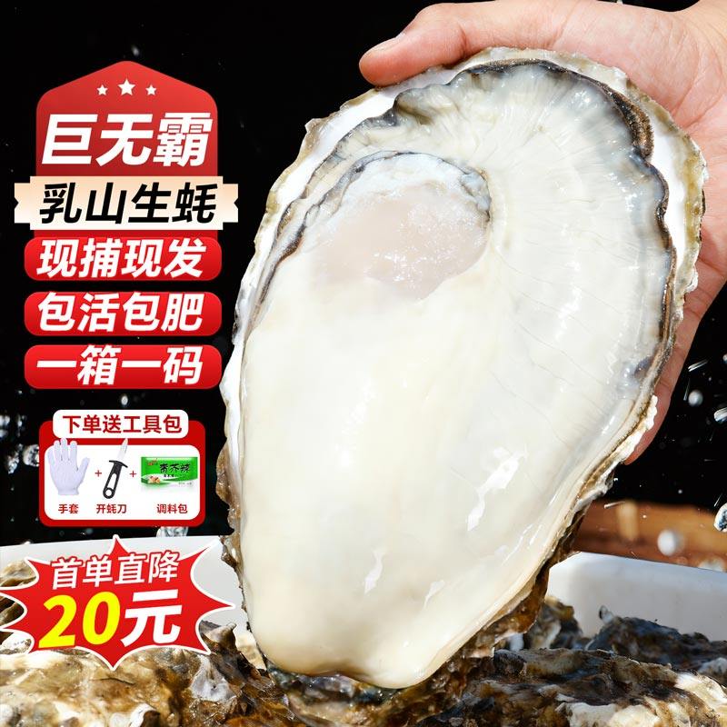 生蚝鲜活乳山生蚝海蛎子特大新鲜牡蛎整箱批发生鲜官方旗舰店 5斤,水产肉类/新鲜蔬果/熟食,生蚝,淘宝优惠券,粉丝福利购,淘宝优惠卷