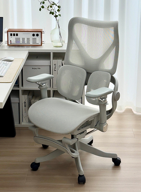 艺颂S820双翼撑腰 人体工学椅子电脑椅电竞久坐舒适家用办公座椅