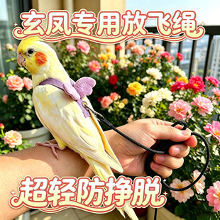 玄凤专用鹦鹉放飞绳外出神器牵引绳放飞遛溜鸟绳绳子背带式飞行绳