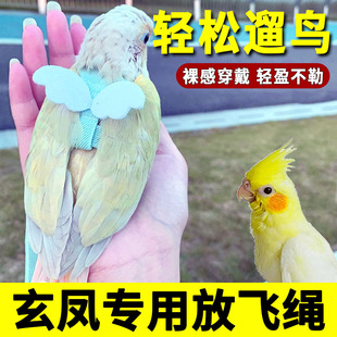玄凤鹦鹉放飞绳防飞绳防跑绳遛鸟专用外出飞翔绳牵绳牵鸟绳飞行轻