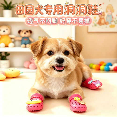 田园犬专用狗狗凉鞋小狗鞋子夏透气宠物中型犬狗鞋夏季洞洞鞋防水