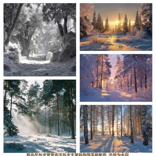 冬季雪地森林背景布阳光氛围感