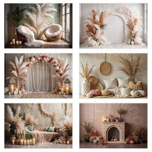 侘寂风芦苇干花拍照背景布仿真羽毛少女法式写真墙布直播数码挂布