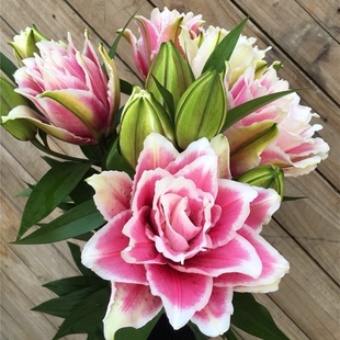 香水百合鲜花云南基地直发水养家庭插花多头玫瑰节包邮七夕情人节