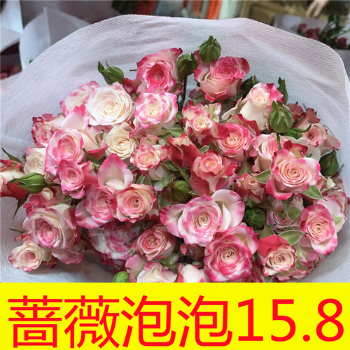 多头百合花鲜花素材模板 多头百合花鲜花图片下载 小麦优选 多头百合花鲜花素材模板 多头百合花鲜花图片下载 小麦优选