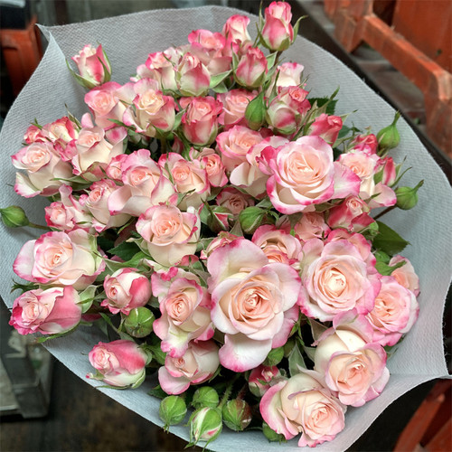 折射比多头泡泡玫瑰花云南昆明基地鲜花速递同城百合花束妇女节